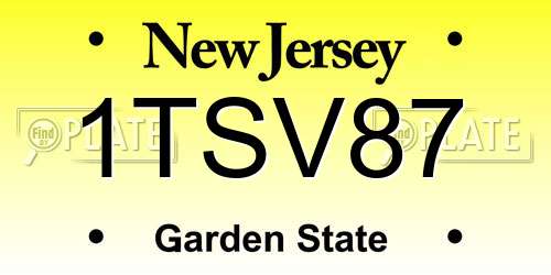 1TSV87 New Jersey License Plate