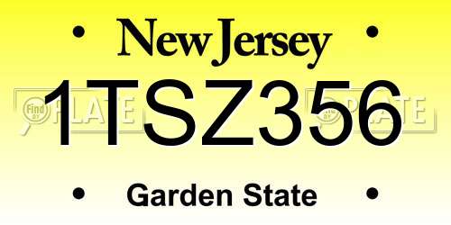 1TSZ356 New Jersey License Plate
