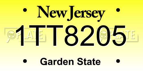 1TT8205 New Jersey License Plate