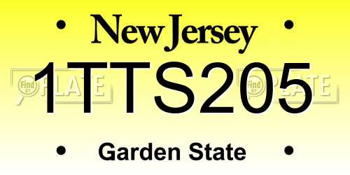 1TTS205 New Jersey License Plate