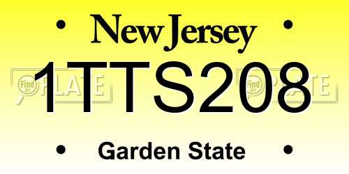 1TTS208 New Jersey License Plate
