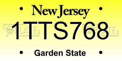 1TTS768 New Jersey License Plate