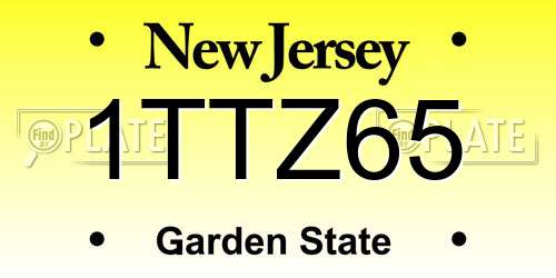 1TTZ65 New Jersey License Plate