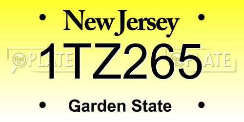 1TZ265 New Jersey License Plate