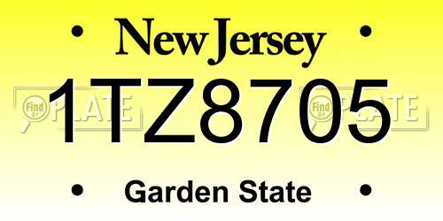 1TZ8705 New Jersey License Plate