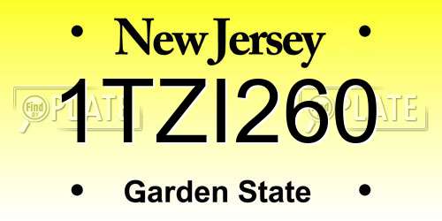 1TZI260 New Jersey License Plate