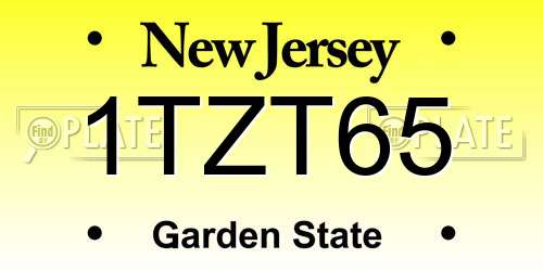 1TZT65 New Jersey License Plate
