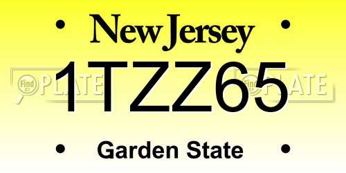 1TZZ65 New Jersey License Plate