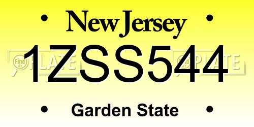 1ZSS544 New Jersey License Plate