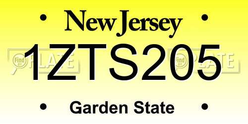 1ZTS205 New Jersey License Plate