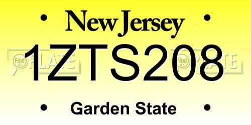 1ZTS208 New Jersey License Plate