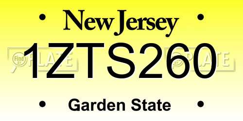 1ZTS260 New Jersey License Plate