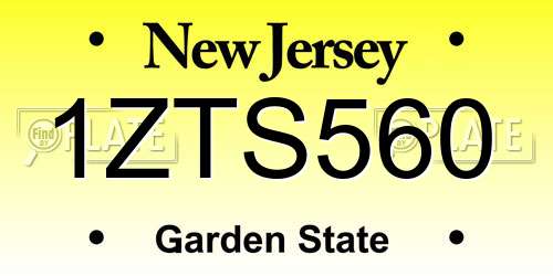 1ZTS560 New Jersey License Plate