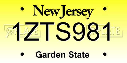 1ZTS981 New Jersey License Plate