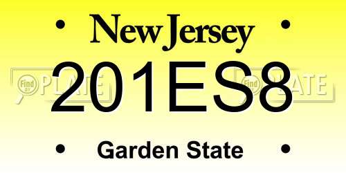 201ES8 New Jersey License Plate