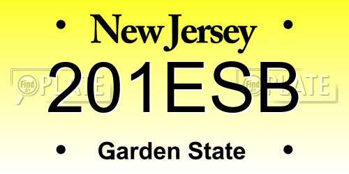 201ESB New Jersey License Plate