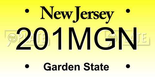 201MGN New Jersey License Plate