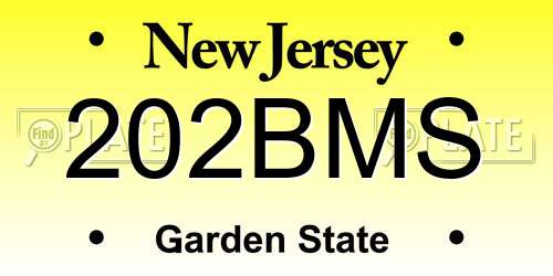 202BMS New Jersey License Plate