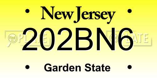 202BN6 New Jersey License Plate