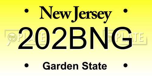 202BNG New Jersey License Plate