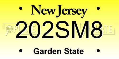 202SM8 New Jersey License Plate