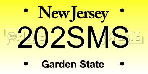202SMS New Jersey License Plate