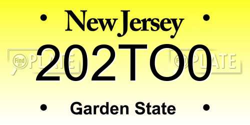 202TO0 New Jersey License Plate