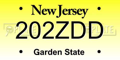 202ZDD New Jersey License Plate