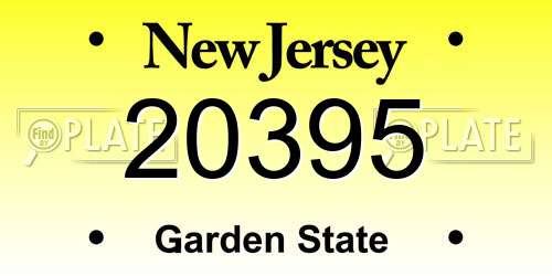 20395 New Jersey License Plate