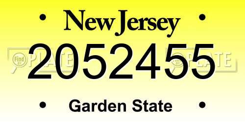 2052455 New Jersey License Plate