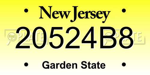 20524B8 New Jersey License Plate