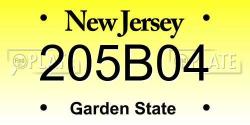 205B04 New Jersey License Plate