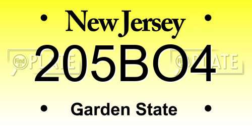 205BO4 New Jersey License Plate