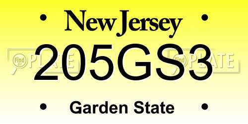 205GS3 New Jersey License Plate