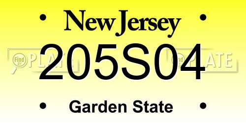 205S04 New Jersey License Plate