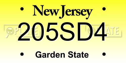 205SD4 New Jersey License Plate