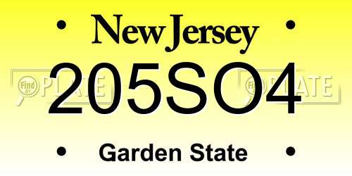 205SO4 New Jersey License Plate