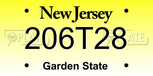 206T28 New Jersey License Plate