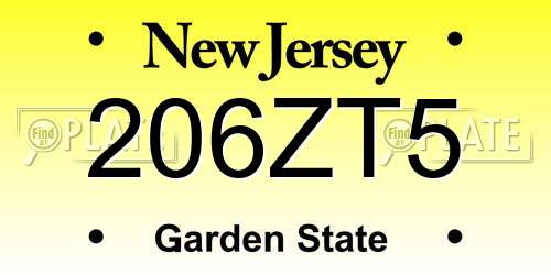 206ZT5 New Jersey License Plate
