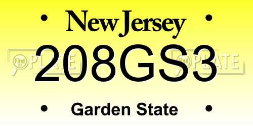 208GS3 New Jersey License Plate