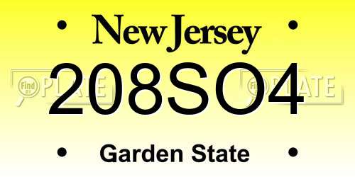 208SO4 New Jersey License Plate