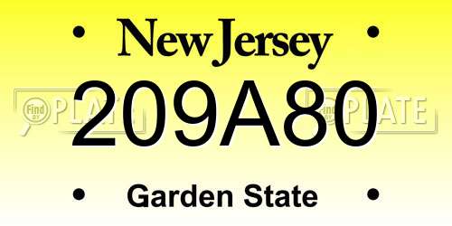 209A80 New Jersey License Plate