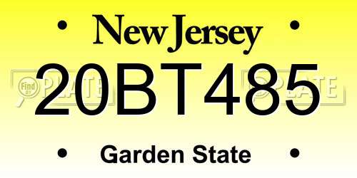 20BT485 New Jersey License Plate