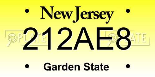 212AE8 New Jersey License Plate