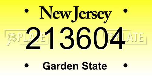 213604 New Jersey License Plate