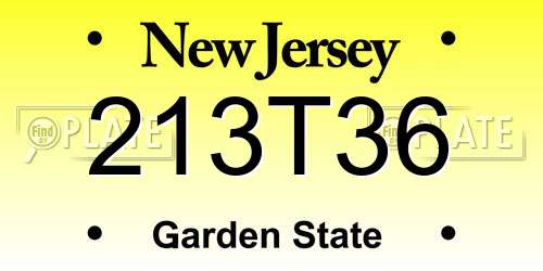 213T36 New Jersey License Plate