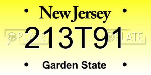 213T91 New Jersey License Plate