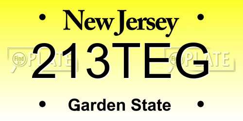 213TEG New Jersey License Plate