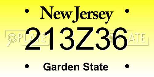213Z36 New Jersey License Plate