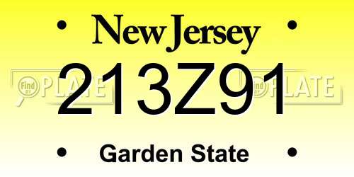 213Z91 New Jersey License Plate